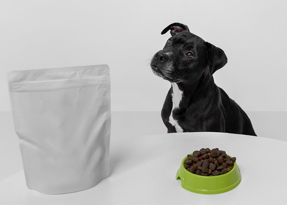 Pet food pouch